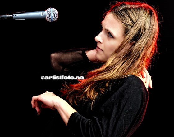 (C)2011 Svein Erik Nomeland, all rights reserved