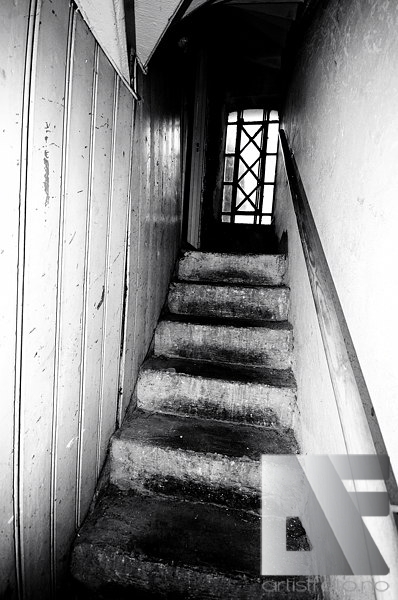 True Norwegian Black Metal Sightseeing Tour 5