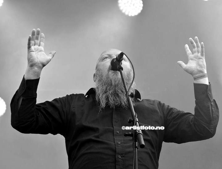 Green_Carnation_StineDSC_6973_Copyright