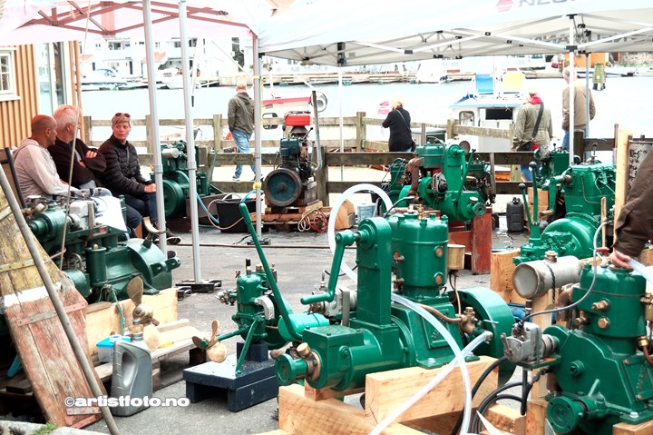 Skalldyrfestivalen, Mandal 2019. Foto: Sofie og Marie Launes Nomeland