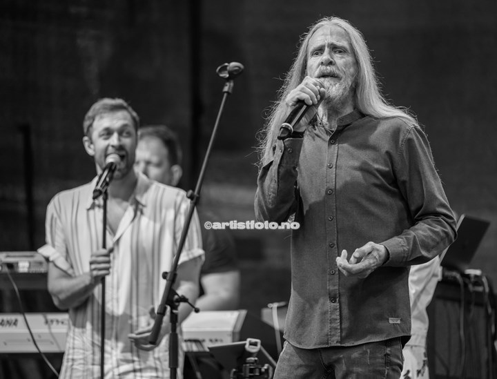 Elg på Øvre Torv i Kristiansand. Foto: Svein Erik Nomeland