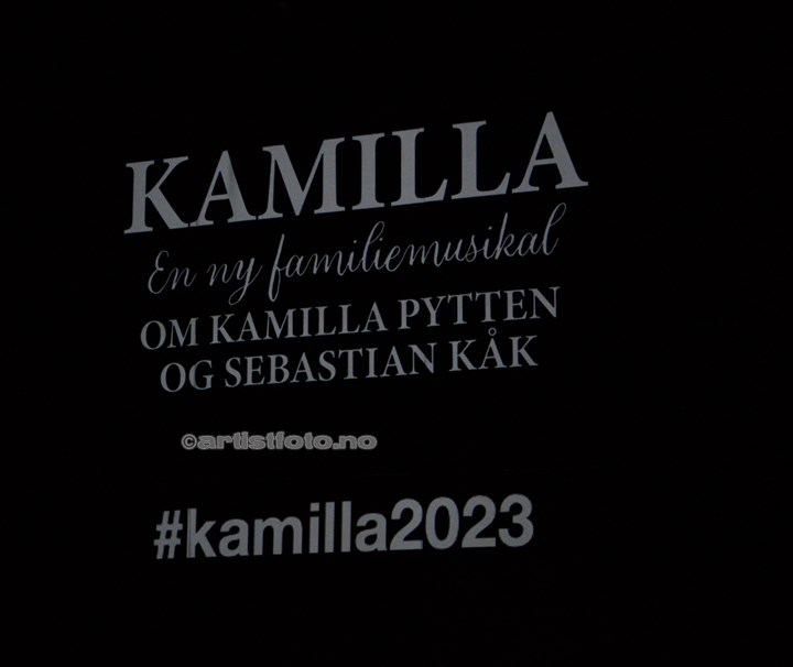Kamilla og Tyven -En ny familiemusikal, Teateret i Kristiansand. Foto: Svein Erik Nomeland