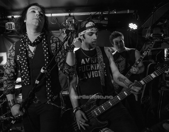 Razorbats på Vaktbua i Kristiansand. Foto Svein Erik Nomeland