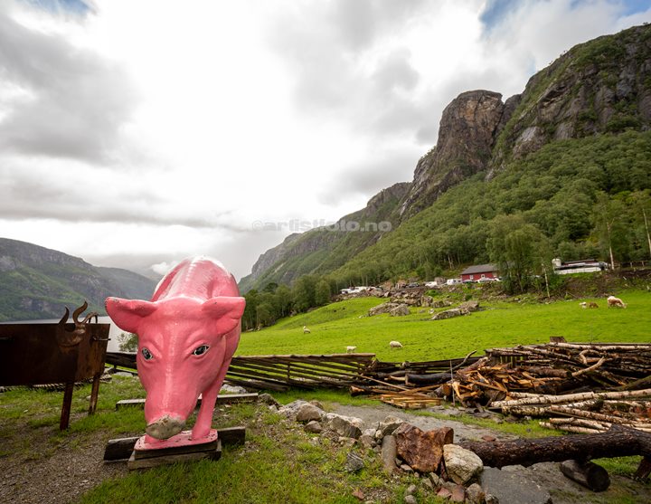 Sommerfest i Kongsdalen, Arvid Mæland, Foto: Svein Erik Nomeland