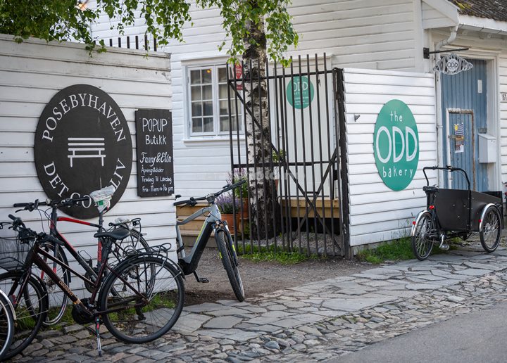 Moddi, Posebyhaven, Kristiansand. Foto: Svein Erik Nomeland