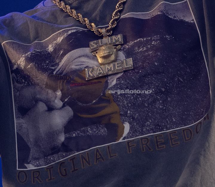 Kamelen, Canal Street 2024. Foto: Svein Erik Nomeland