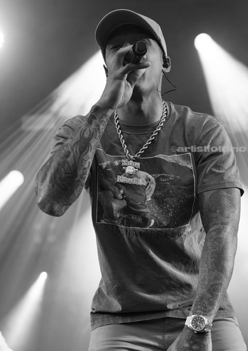 Kamelen, Canal Street 2024. Foto: Svein Erik Nomeland