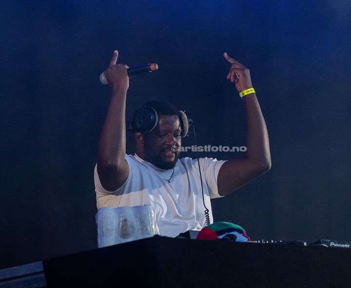 Kamelen, Canal Street 2024. Foto: Svein Erik Nomeland