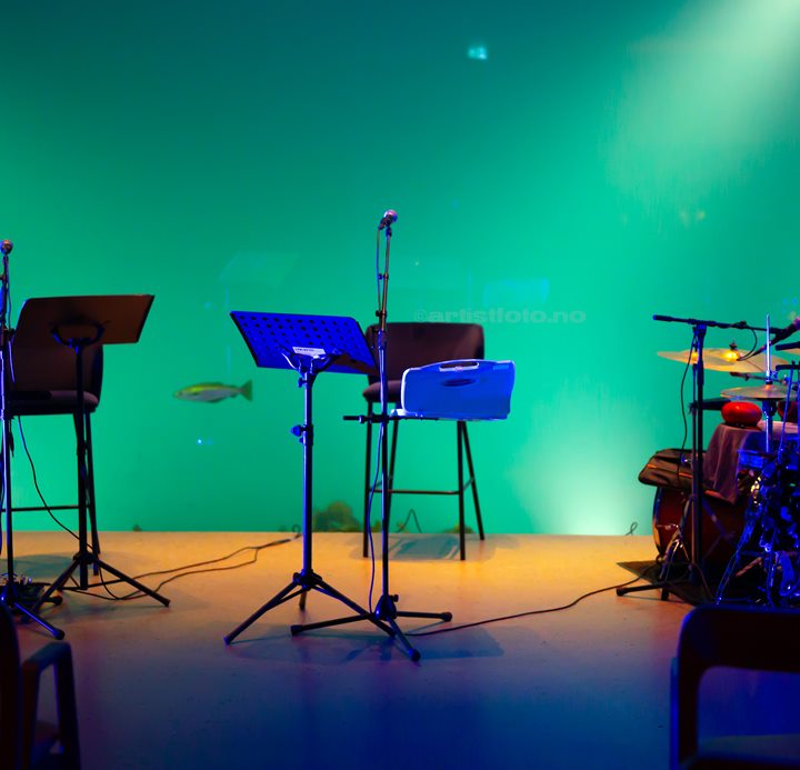 Under, Myrull, Lindesnes. Foto: Svein Erik Nomeland