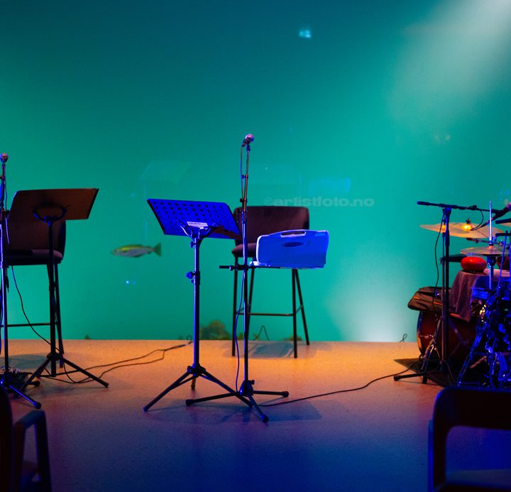 Under, Myrull, Lindesnes. Foto: Svein Erik Nomeland