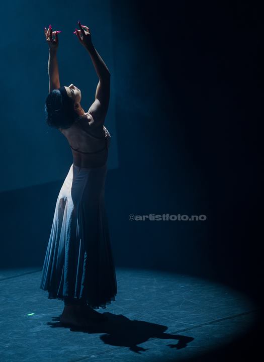 Dancing Stars by The Professionals, Kilden, Kristiansand. Foto: Svein Erik Nomeland