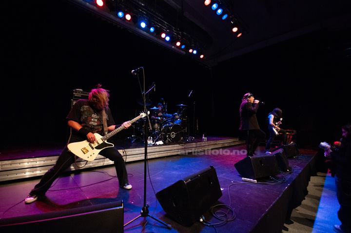 Dokken, Sliperitomta, Larvik, 09.05.2009. Foto: Svein Erik Nomeland
