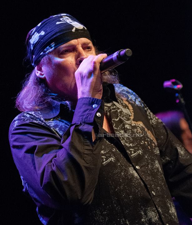 Dokken, Sliperitomta, Larvik, 09.05.2009. Foto: Svein Erik Nomeland