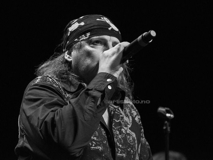 Dokken, Sliperitomta, Larvik, 09.05.2009. Foto: Svein Erik Nomeland